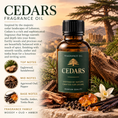 Load image into Gallery viewer, Cedars - Fragrance Oil