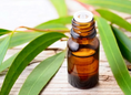 Load image into Gallery viewer, Eucalyptus Essential Oil
