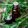 Load image into Gallery viewer, Rosemary Essential Oil