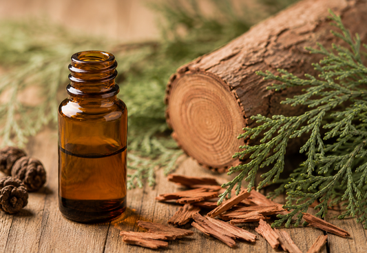 Cedarwood Essential Oil
