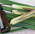 Load image into Gallery viewer, Citronella Essential Oil
