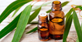 Load image into Gallery viewer, Eucalyptus Essential Oil
