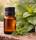 Load image into Gallery viewer, Peppermint Essential Oil
