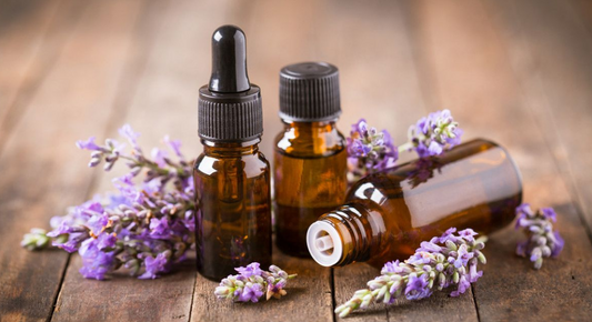 Lavender Essential Oil