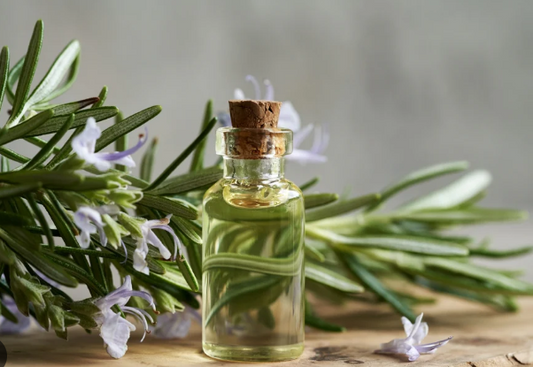 Rosemary Essential Oil