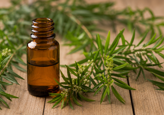 Tea Tree Essential Oil