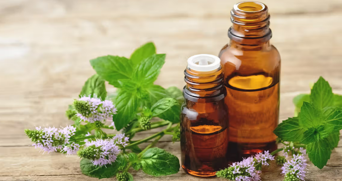Peppermint Essential Oil