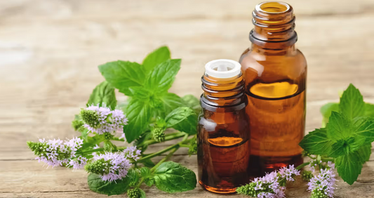 Peppermint Essential Oil